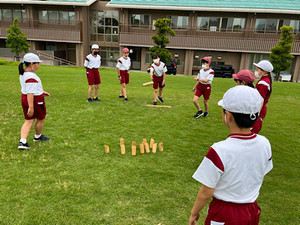 Img_202368103517